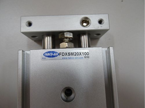 Fabco air cylinder fdxsm20x100 for sale