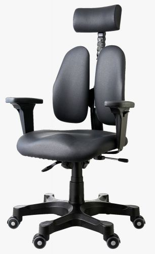 DR-7500G-SL, Duorest Leaders Executive Ergonomic Home Office Chair by DUOBACK