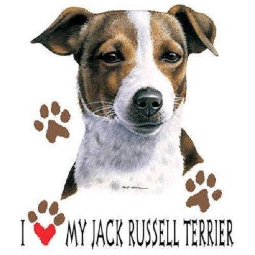 Jack Russell Dog HEAT PRESS TRANSFER for T Shirt Tote Sweatshirt Fabric 865a