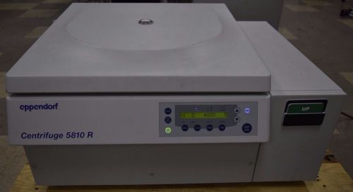 Eppendorf 5810r refrigerated benchtop centrifuge w/ a-4-62 swing bucket rotor for sale