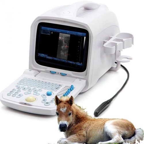 Build-in 3d pc full-digital veterinary ultrasound scanner + big rectal probe for sale