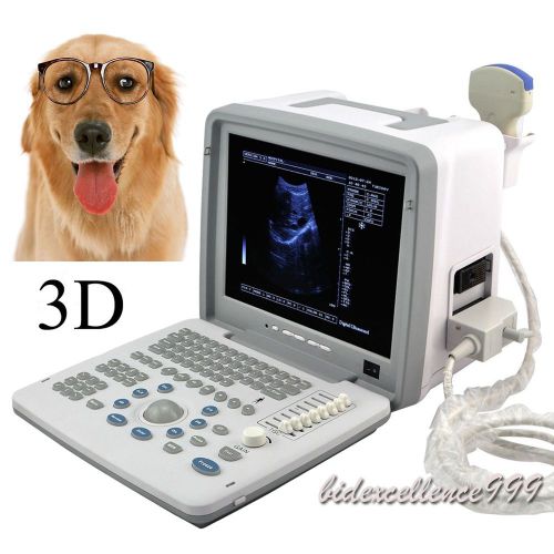 12-inch veterinary portable digital ultrasound scanner convex probe external 3d for sale