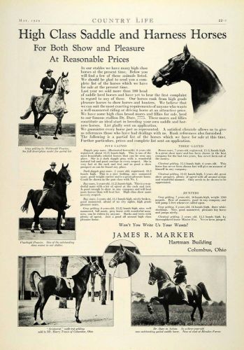 1929 Ad James R Marker High Class Saddle Harness Horses Stable McDonald COL2