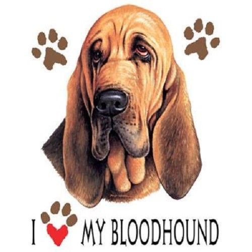 Bloodhound Dog HEAT PRESS TRANSFER for T Shirt Tote Sweatshirt Quilt Fabric 808g
