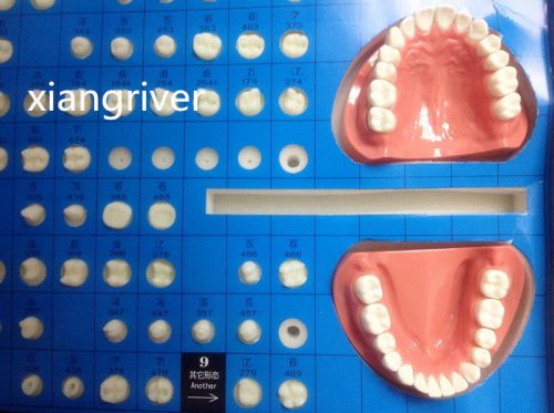 Dental Tooth Preparation Model cavity teeth 151pcs prosthodontics high quality