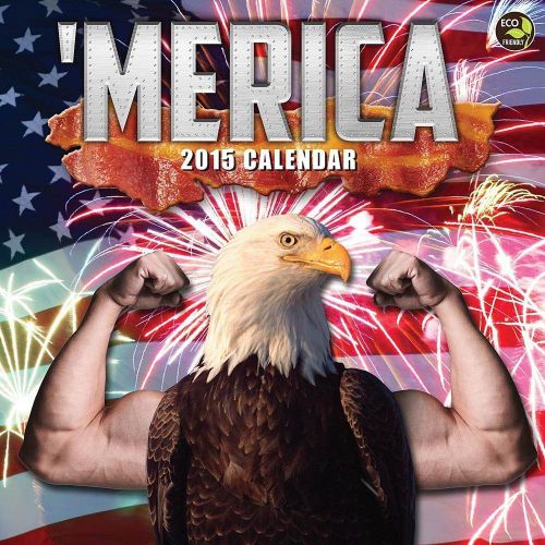 2015 &#039;MERICA 12x12 Wall Calendar NEW United States of America USA Humor