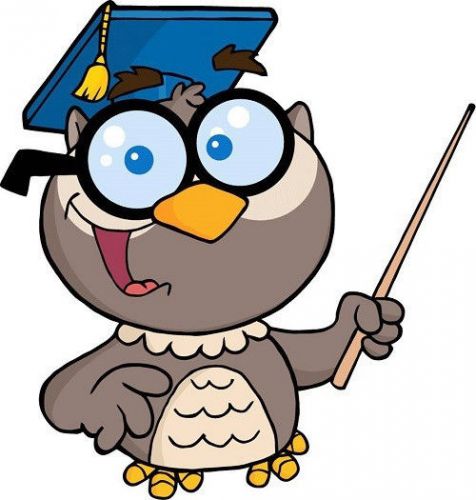 30 Custom Teacher Owl Personalized Address Labels