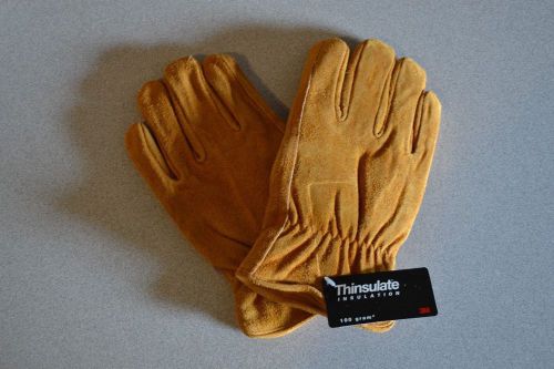 Medium 3M Thinsulate Insulation Gloves