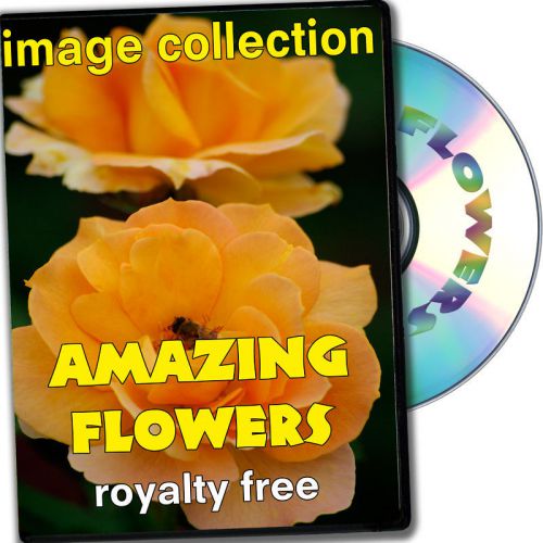Amazing Flowers RoyaltyFree Image Collection,Commercial