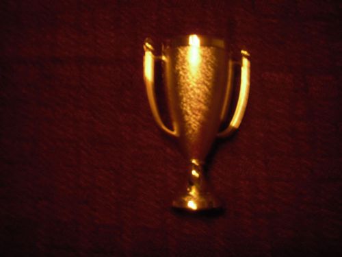 Trophy Figure:  Loving Cup (20)