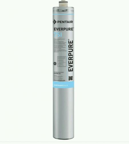 Everpure 7SI water filter