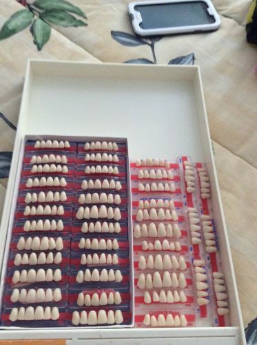 Dentsply Classic And New Hue Denture Teeth