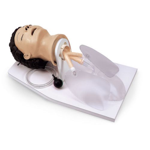 Brand New Life/form Adult Airway Management Trainer with Stand LF03601U