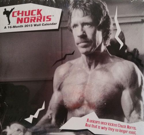 2015 CHUCK NORRIS Wall Calendar NEW &amp; SEALED Chuck Facts &amp; Hilarious Quotes