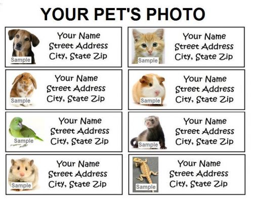 Your pet&#039;s photo / picture personalized custom stickers &amp; return address labels