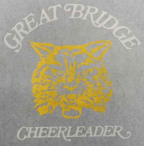 Great Bridge School Cheerleader Virginia Screen Print Transfer Wall Craft
