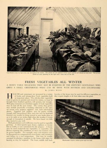 1906 article greenhouse vegetables hotbed james wood - original cl5 for sale