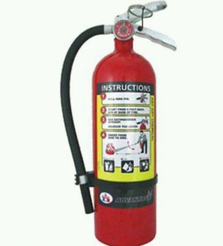 Badger™ Advantage™ 5 lb ABC Fire Extinguisher w/ Wall Hook