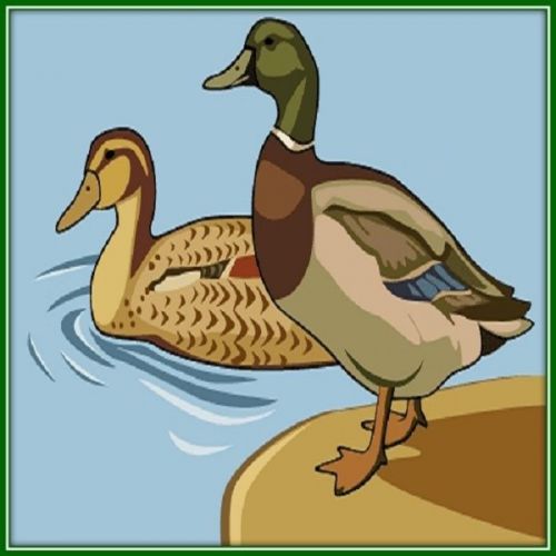 30 Custom Mallard Duck Art Personalized Address Labels
