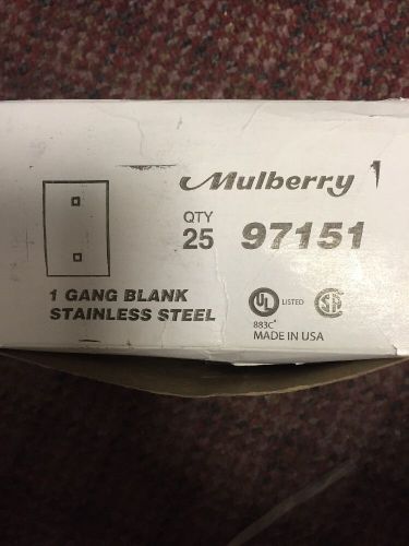 25 -1gang Stainless Steele Blank Plate