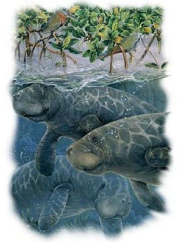 Manatee gather heat press transfer for t shirt tote sweatshirt quilt fabric 254c for sale