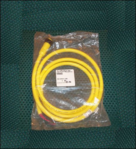EFECTOR W80600 IFM 6FT CABLE ~ 3-PIN ~ NEW IN PACKAGE