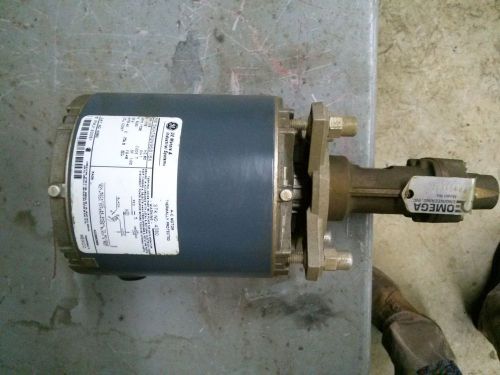 Positive Displacement Omega Gear Pump with GE Motor