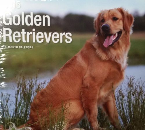 18-Month 2015 GOLDEN RETRIEVERS 12x12 Wall Calendar NEW Dogs Cute Puppies