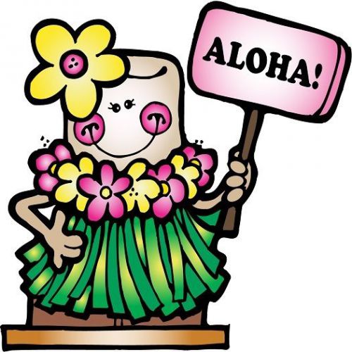30 Custom Aloha! Personalized Address Labels