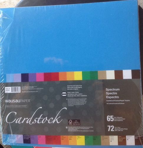 71 Pages Wausau Creative Collections Cardstock  12 X 12 Inches (missing 1 Page)