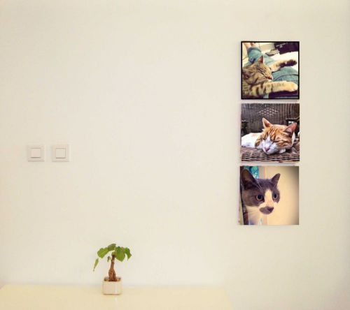 Print Your Instagram Picture On Canvas