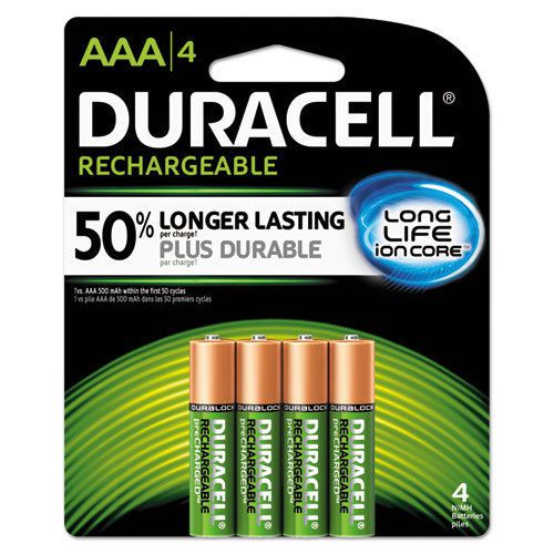 Rechargeable NiMH Batteries with Duralock Power Preserve Technology, AAA, 4/Pack