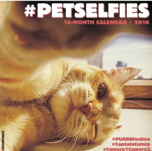 #PetSelfies Fun 2016 Dog and Cat Cell Phone Selfies Wall Calendar 18 month  New