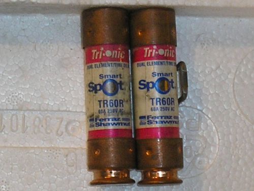 (lot of 2)tr60r shawmuttrionic smartspot dualelement timedelay rk5 fuse 60a 250v for sale