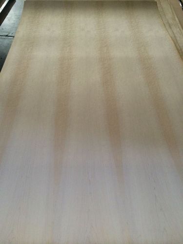 Wood Veneer Birdseye Maple 49x78 1pcs total 10Mil Paper Backed&#034;EXOTIC&#034; 505/5A.5