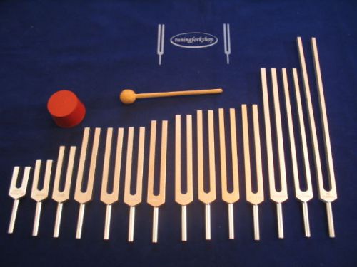 New 14 pc meridian tuning forks for meredians &amp; organs for sale