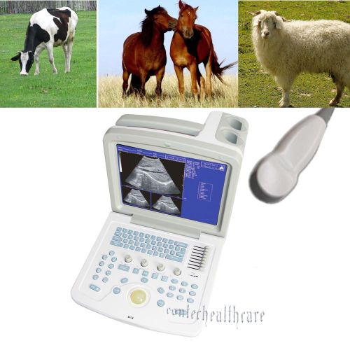 CE VET veterinary portable B-Ultrasound Machine+5.0M Micro-Convex Probe,Animial