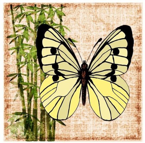 30 Personalized Return Address Butterflies Labels Buy 3 get 1 free (but4)
