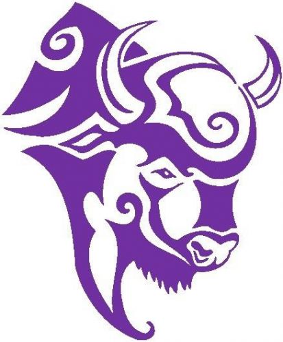 30 Custom Wild Purple Buffalo Personalized Address Labels