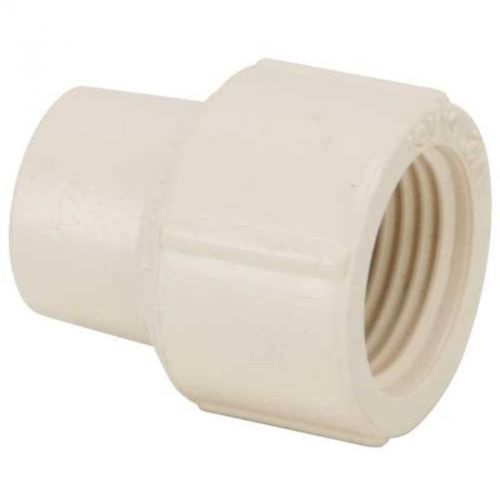 Fgg CPVC Female Adapter 1/2&#034; 50305G GENOVA PRODUCTS INC Abs - Dwv Couplings