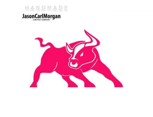 JCM® Iron On Applique Decal, Bull Neon Pink