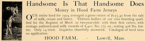 1906 Ad Hood Farm Jersey Dairy Cows Breed Lowell Mass - ORIGINAL ADVERTISING CL8