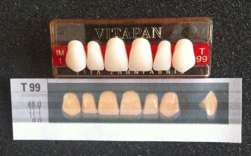 Vitapan Denture Teeth  T99   1M1