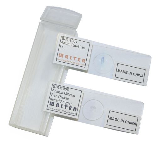 Walter Products B17121 Prepared Slide Set-Mitosis (Pack of 2)