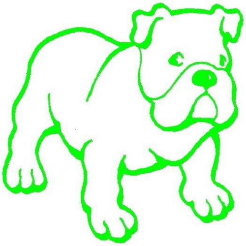 30 Custom Green Bulldog Personalized Address Labels