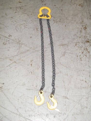 Lift all chain sling hoist rigging grade 100 9/32&#034; chain 6&#039; 2 hooks hoist mold for sale