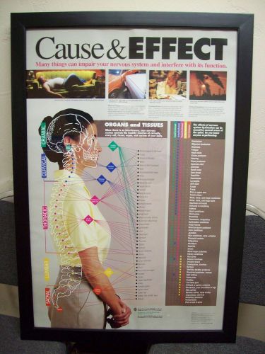 Chiropractic Patient Education Poster &#034;Cause and Effect&#034;