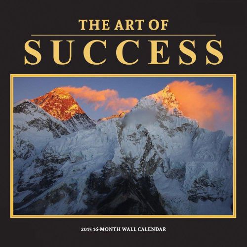 2015 ART OF SUCCESS Wall Calendar NEW Motivational Inspirational Quotes &amp; Photos
