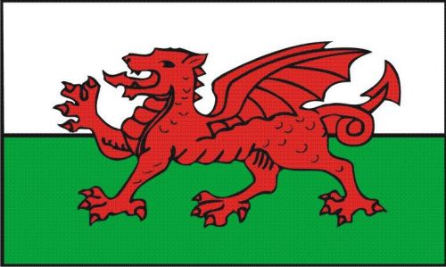 Wales Welsh Flag Sticker x 2 self adhesive laminated vinyl decal