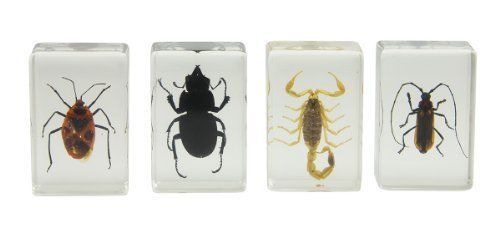 New celestron 44407 3d bug specimen kit #1 (black  brown  yellow) for sale